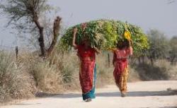 Frauen bei der Landarbeit